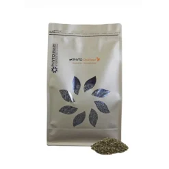 Phyto Master Phyto Draineur Discount