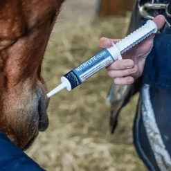 Ravene Nutrilyte Flash Sale