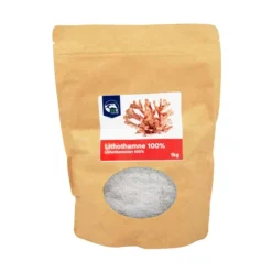 Reverdy Lithothamne New