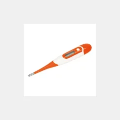 Thermomètre Électronique Discount